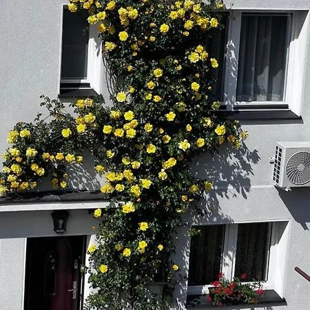 Szyper 2